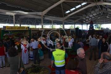 Narea abre como recova con ambiente navideño y de satisfacción general (Foto Francisco Javier Santana y TA)